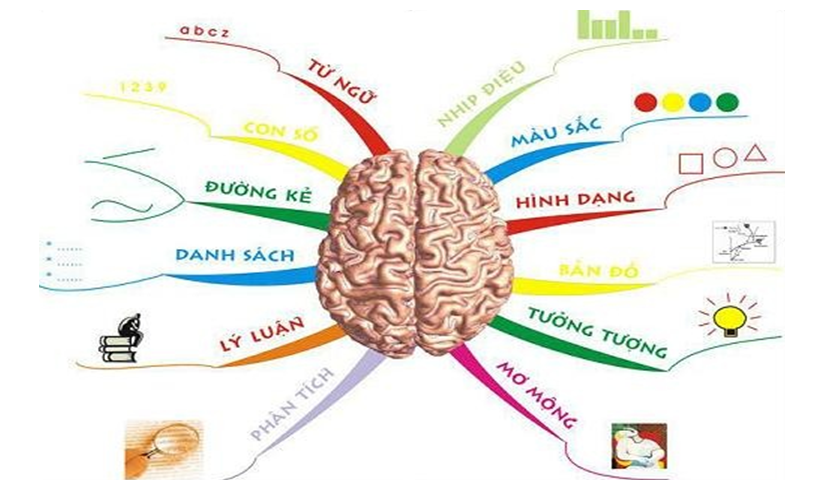 SKKN: VẬN DỤNG BẢN ĐỒ TƯ DUY VÀO DẠY HỌC  MÔN TỰ NHIÊN VÀ XÃ HỘI LỚP 3